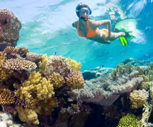 Snorkeling Tour at Riviera Maya