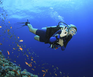 Puerto Vallarta Scuba Diving