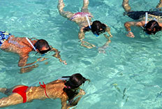 Snorkeling Tours